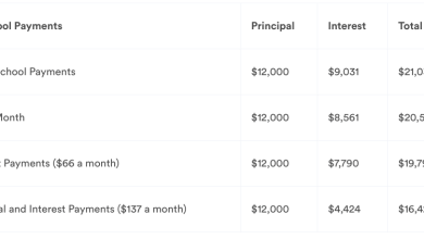 Earnest education loan